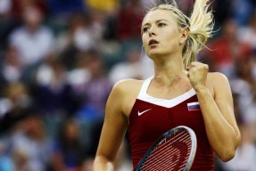 开云-莎拉波娃露缝隙图片